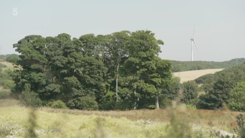 Still from Channel 5 at 34:00
