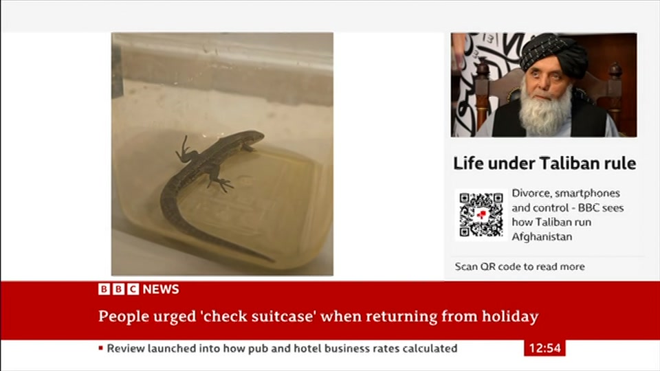 Broadcast still at 24m. BBC News, BBC News Now, 24 August 2026.