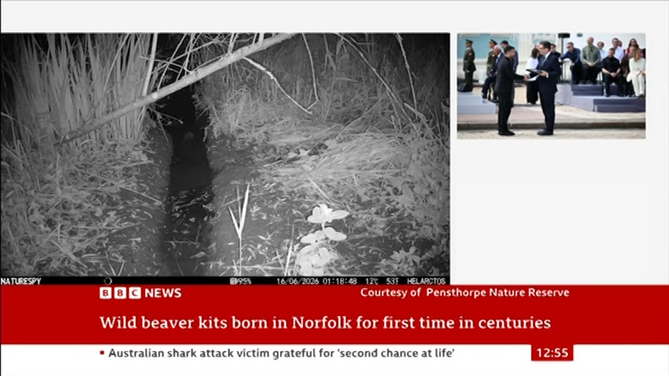 Still from BBC News at 25:00