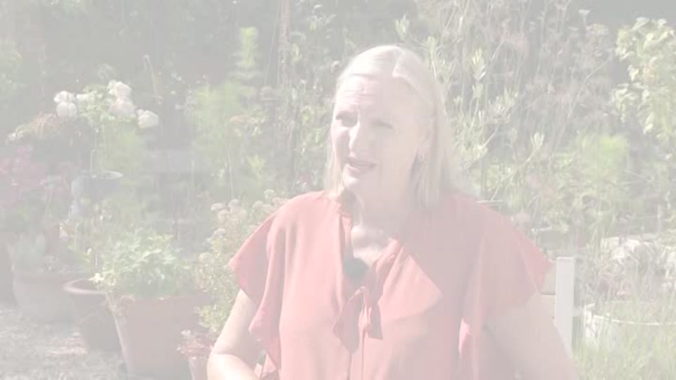 Still from ITV at 3:00