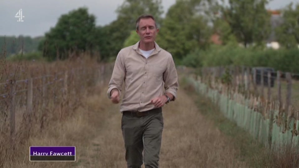 Still from Channel 4 at 44:00