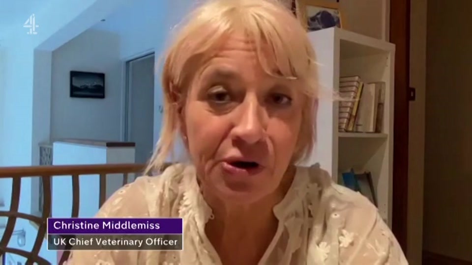 Broadcast still at 45m. Channel 4, Channel 4 News, 26 August 2026.