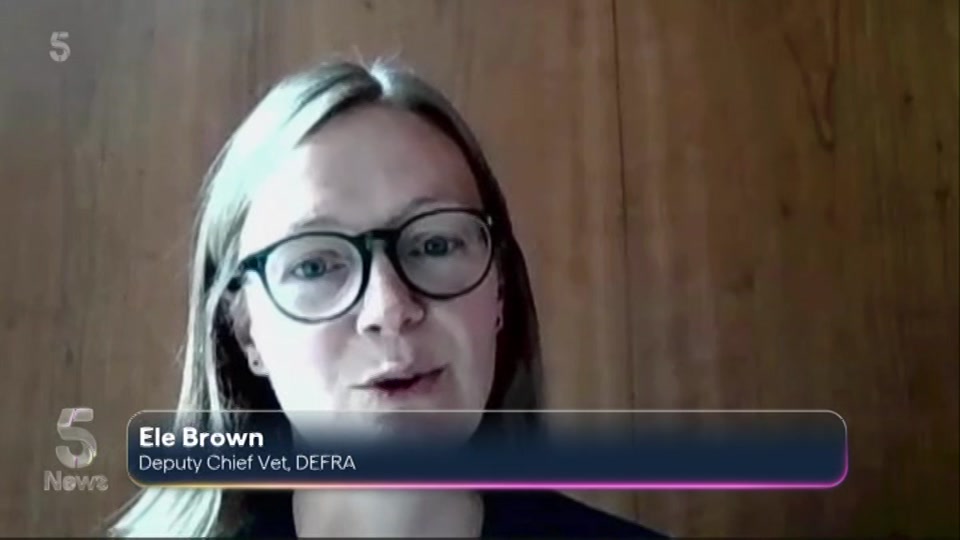 Broadcast still at 20m 30s. Channel 5, 5 News with Dan Walker, 7 September 2026.