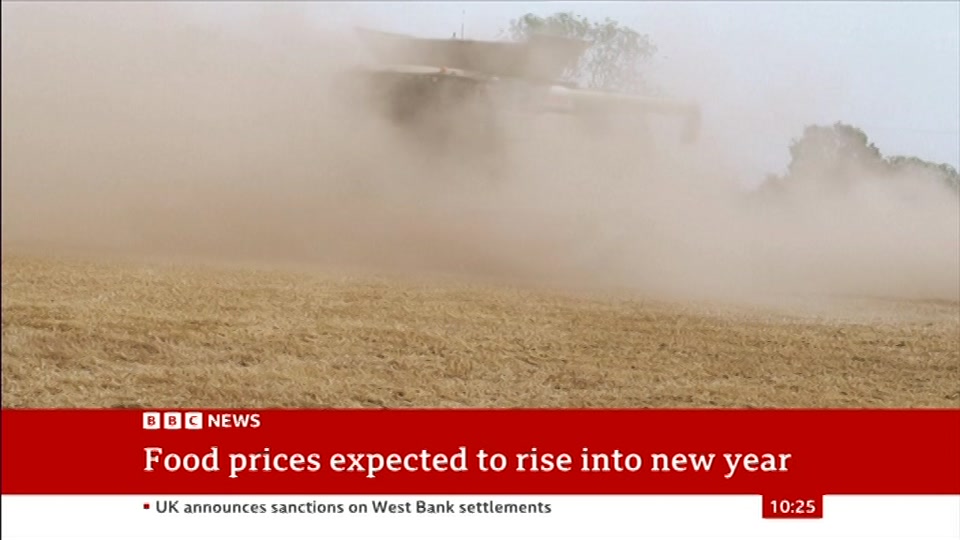 Still from BBC News at 25:30