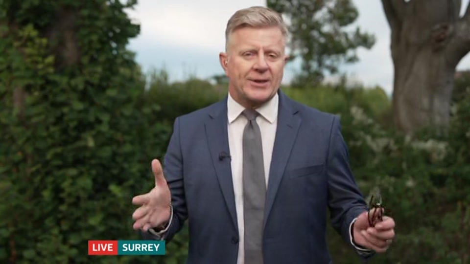 Still from ITV at 17:00