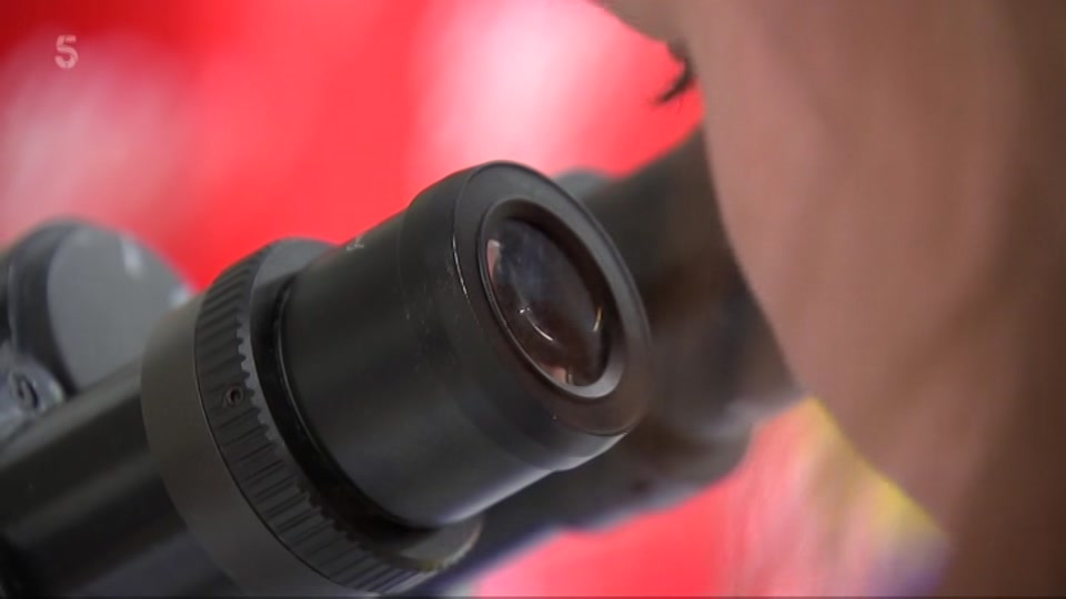 Broadcast still at 1m. Channel 5, 5 News at Lunchtime, 15 September 2026.