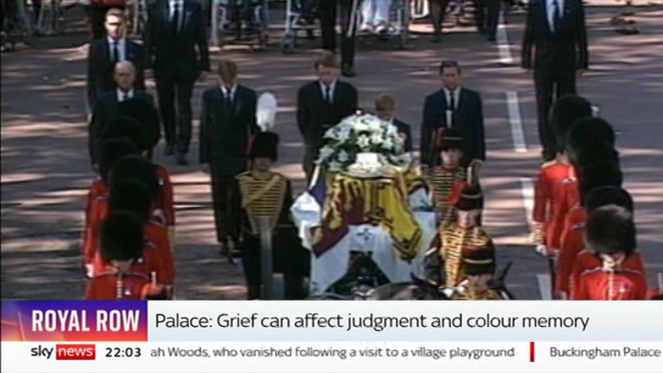 Still from Sky News at 3:30