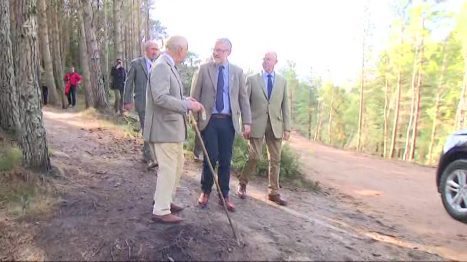 Broadcast still at 2m. Channel 4, Channel 4 News Summary, 17 September 2026.