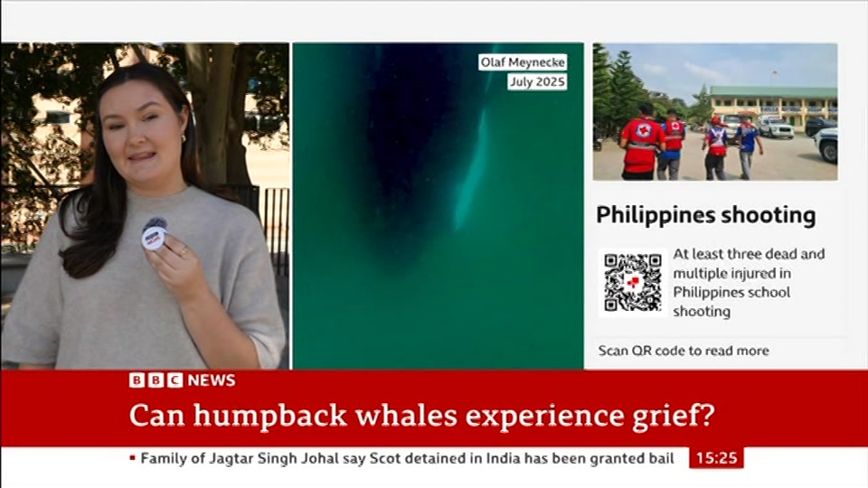 Broadcast still at 25m 30s. BBC News, Verified Live, 18 September 2026.