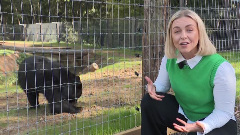 Broadcast still at 55m. ITV, ITV Evening News, 18 September 2026.