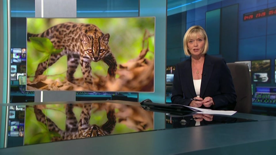 Still from ITV at 28:00
