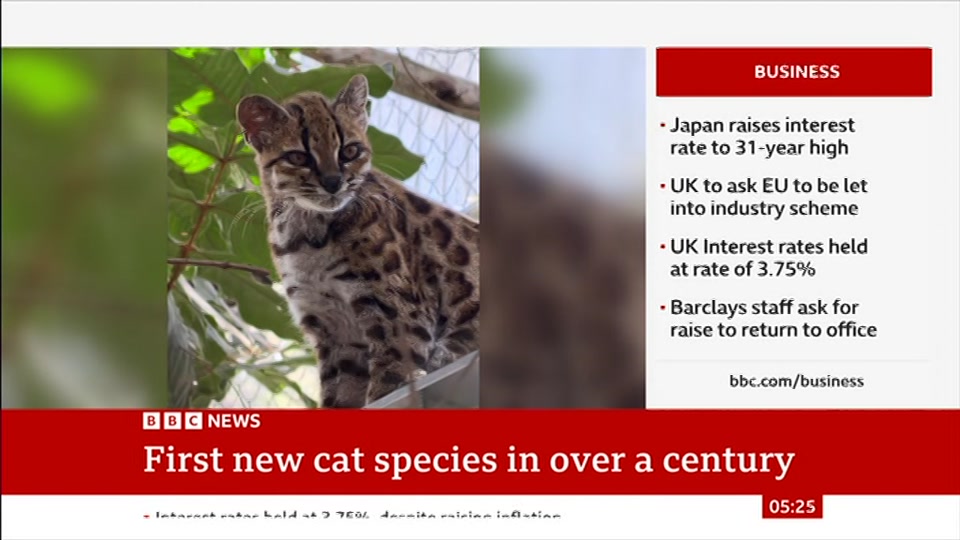 Broadcast still at 25m. BBC News, 18 September 2026.