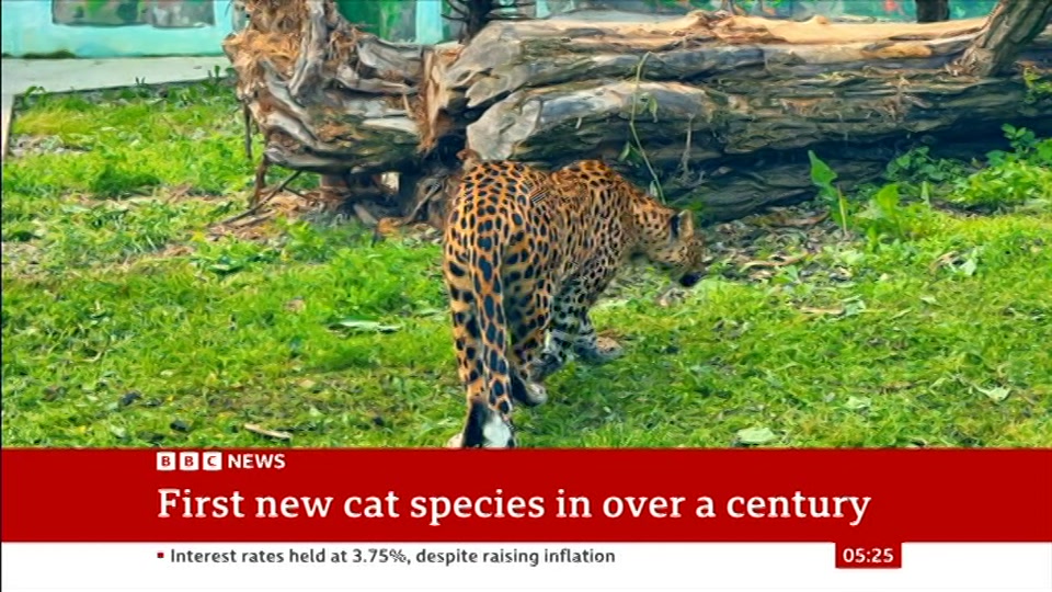 Still from BBC News at 25:30