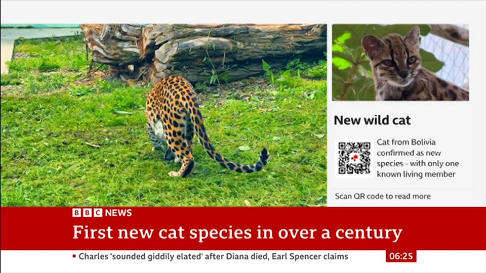 Broadcast still at 25m. BBC News, 18 September 2026.