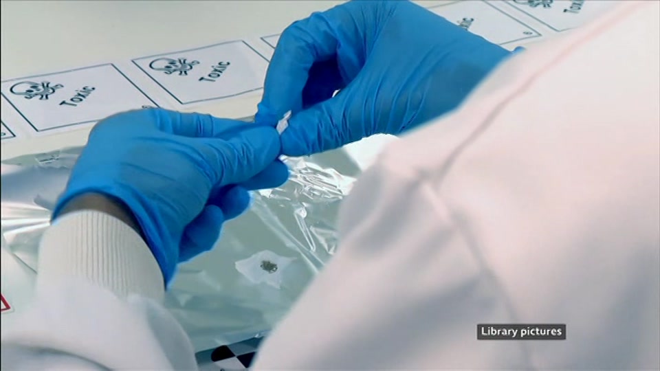 Broadcast still at 12m. BBC One, BBC News, 20 September 2026.