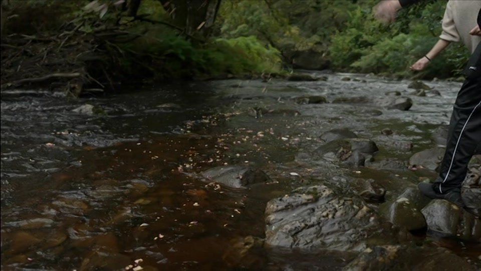 Still from BBC One at 13:00