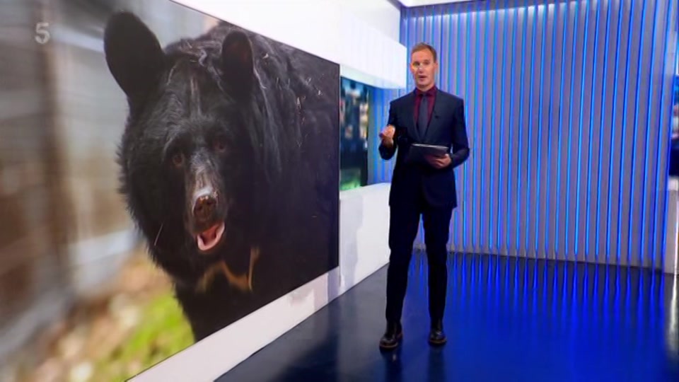 Still from Channel 5 at 43:00