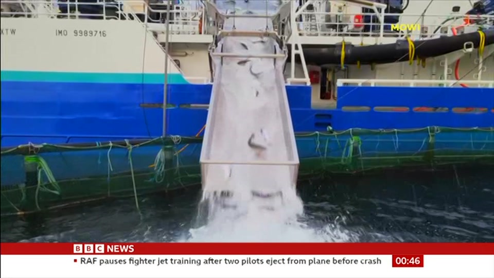 Broadcast still at 16m 30s. BBC News, Newscast, 23 September 2026.