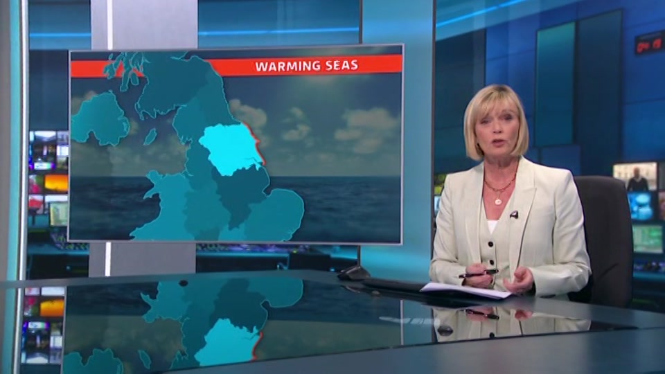 Still from ITV at 19:30