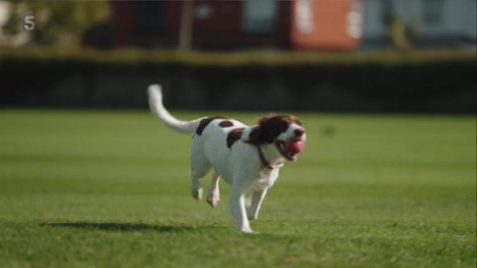 Still from Channel 5 at 36:00