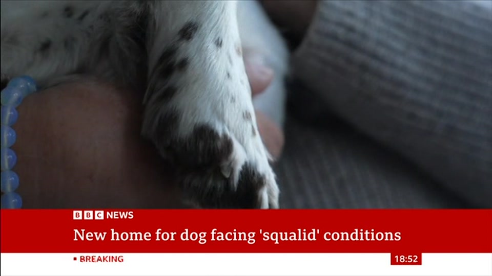 Still from BBC News at 22:30