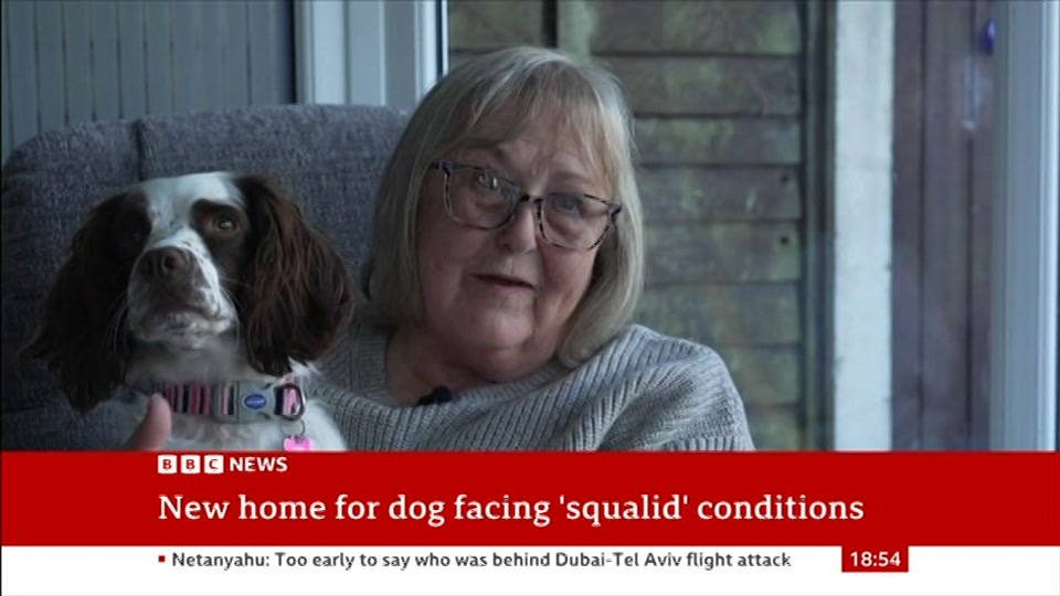 Still from BBC News at 24:30