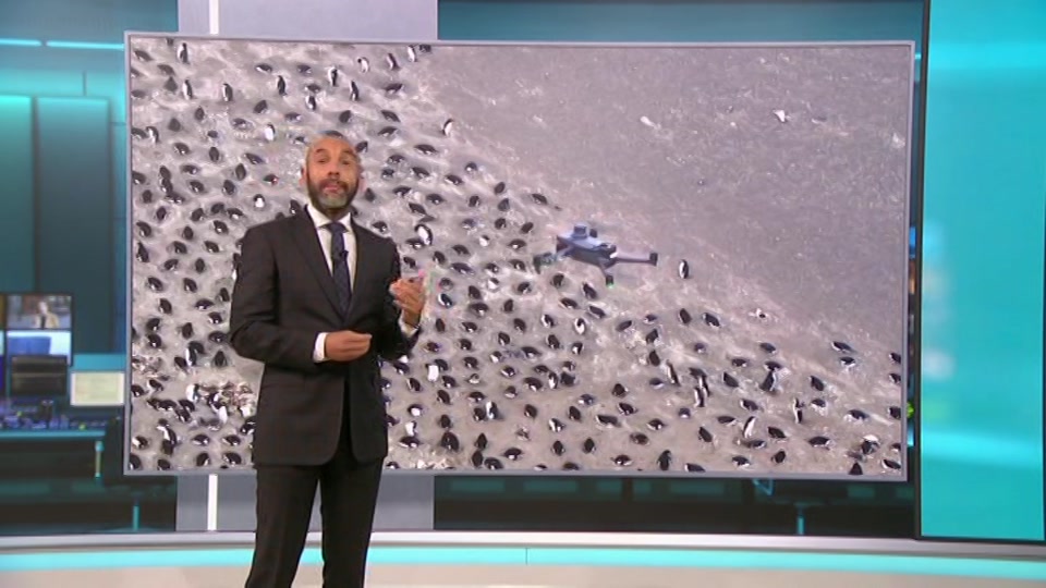 Still from ITV at 51:00