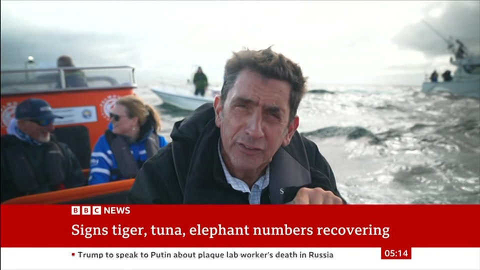 Still from BBC News at 14:30