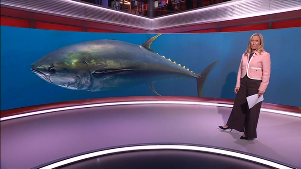 Still from BBC One at 25:00