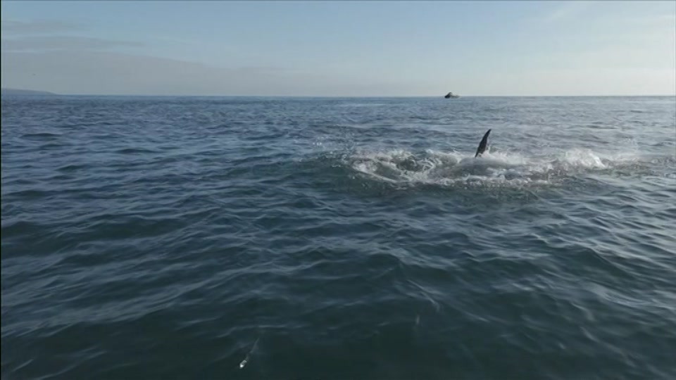 Still from BBC One at 27:30