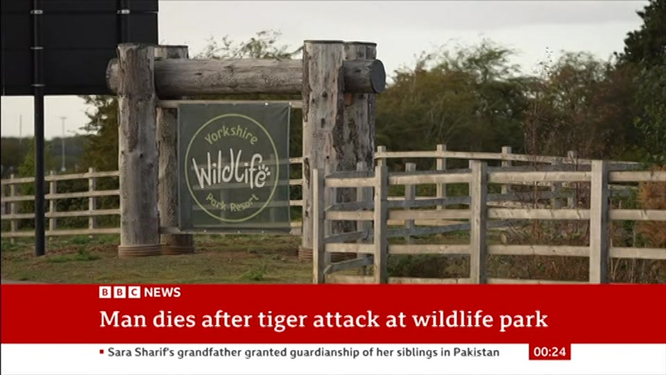 Still from BBC News at 24:00