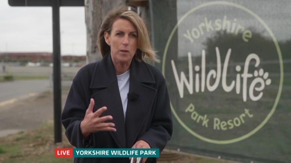 Still from ITV at 4:30