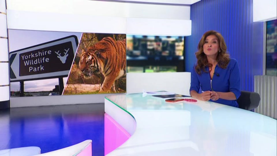 Still from Channel 5 at 19:00