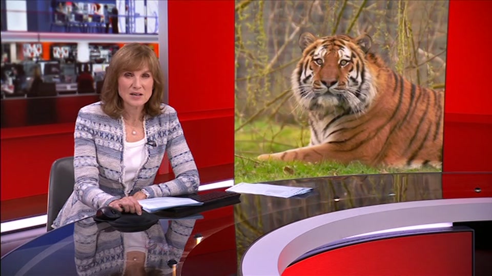 Still from BBC One at 19:00