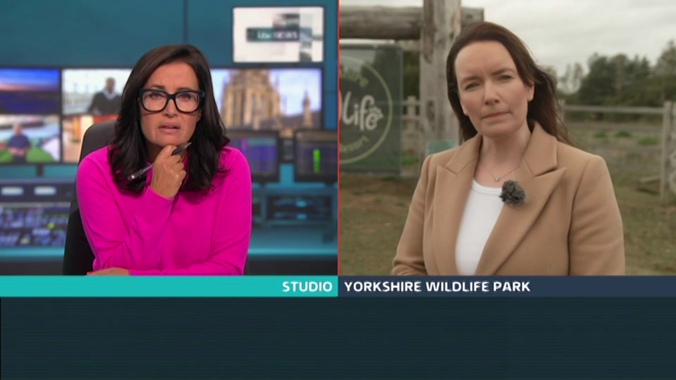 Broadcast still at 2m. ITV, ITV Lunchtime News, 14 October 2026.