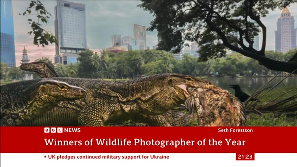 Still from BBC News at 23:30
