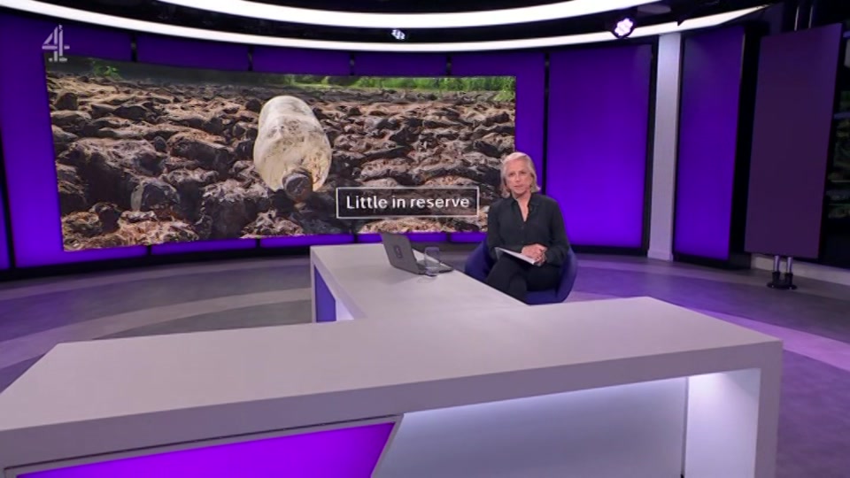 Still from Channel 4 at 34:30
