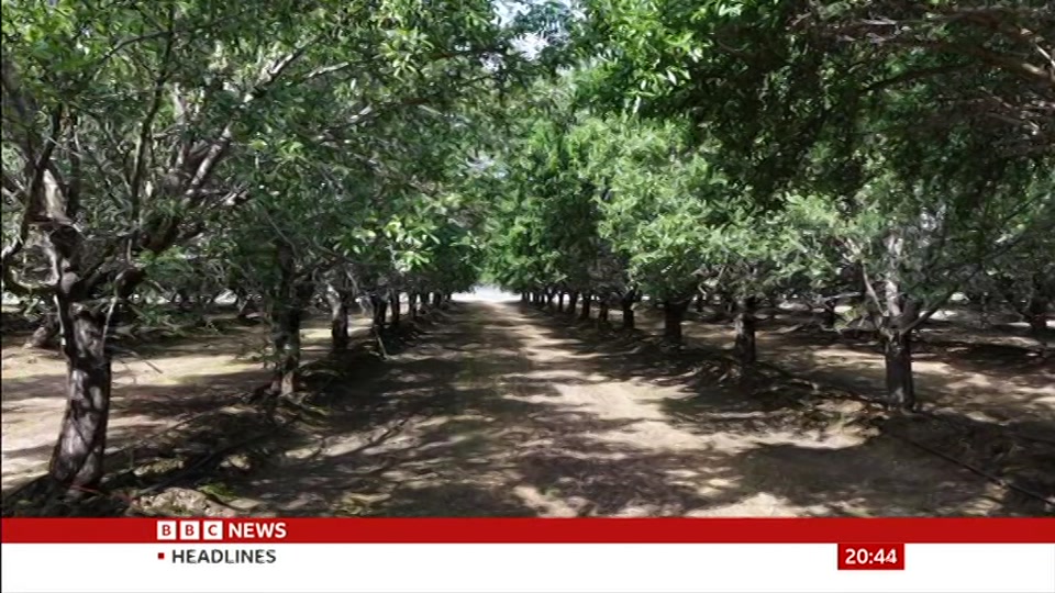 Broadcast still at 14m. BBC News, Newscast, 17 October 2026.