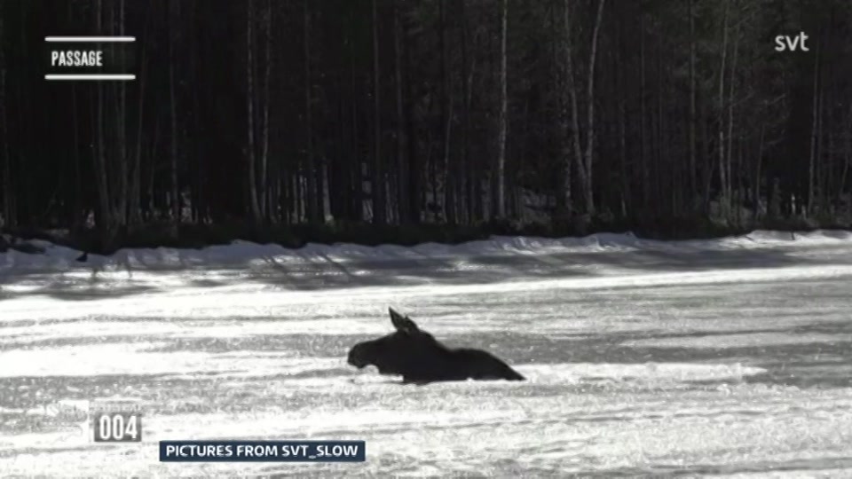 Broadcast still at 19m. ITV, ITV Lunchtime News, 21 October 2026.
