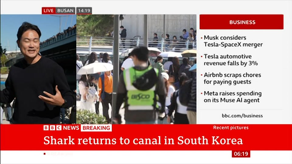 Still from BBC News at 19:00