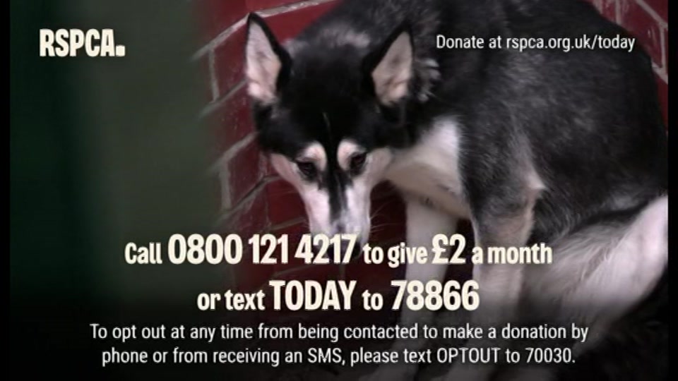 Broadcast still at 20m. ITV, ITV Evening News, 23 October 2026.