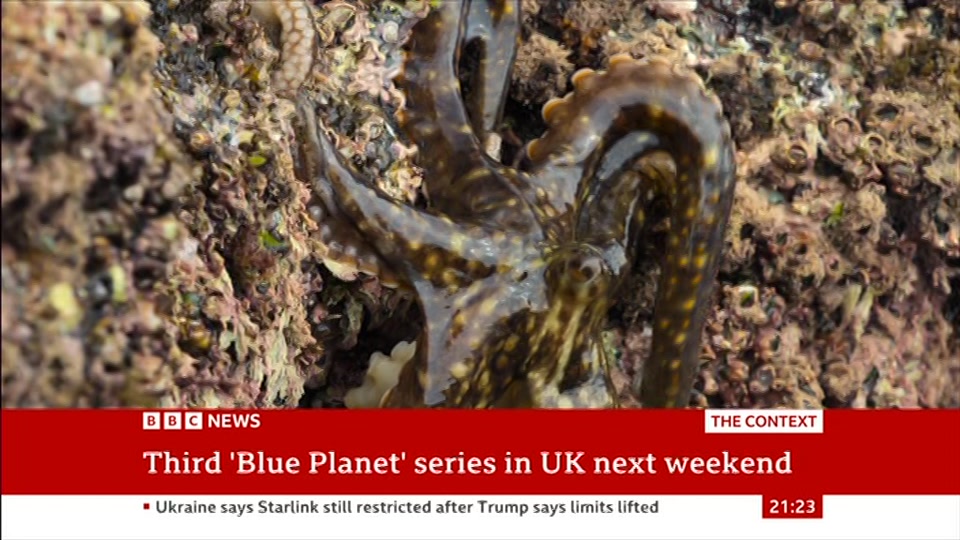 Still from BBC News at 23:30