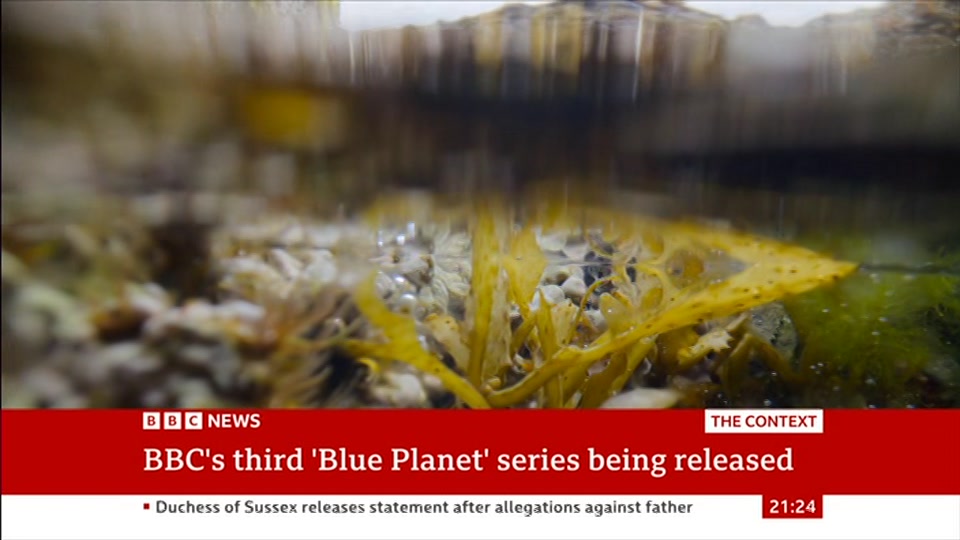 Broadcast still at 24m 30s. BBC News, The Context, 23 October 2026.