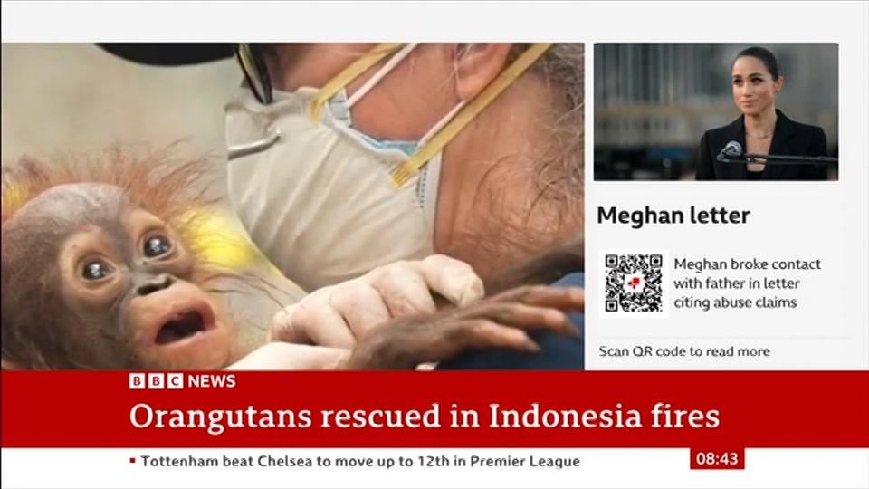 Still from BBC News at 13:30