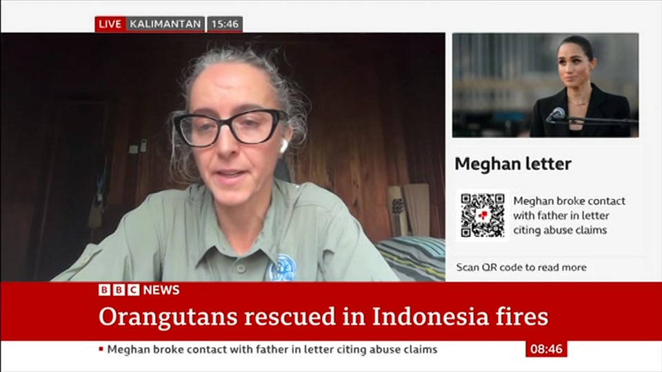 Broadcast still at 16m 30s. BBC News, 25 October 2026.