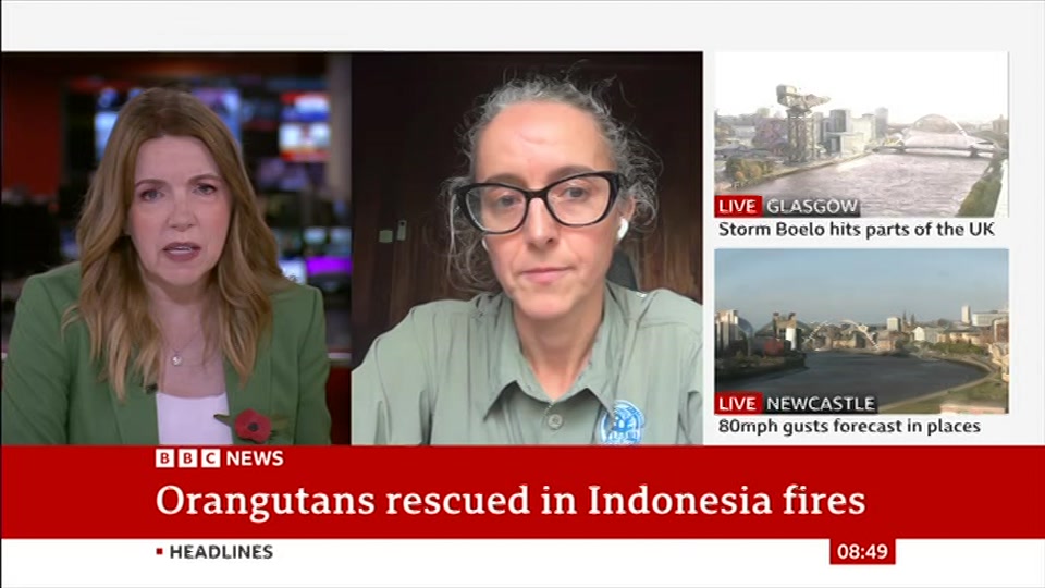 Still from BBC News at 19:00