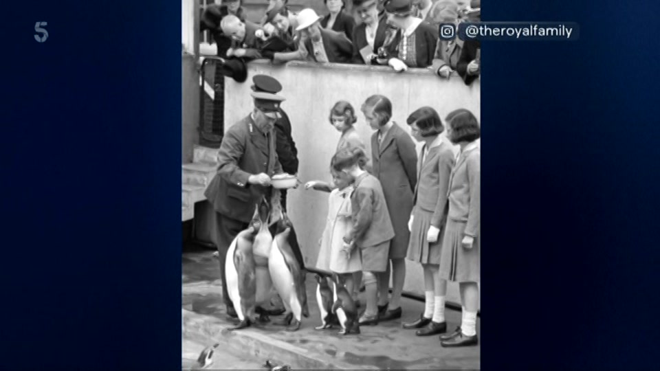 Broadcast still at 26m. 5, 5 News with Dan Walker, 9 July 2026.