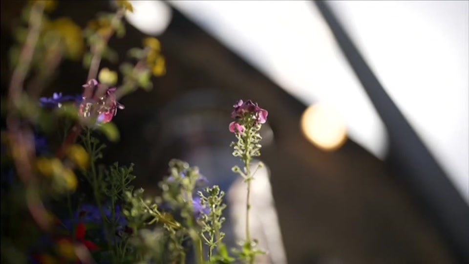 Broadcast still at 29m. BBC ONE West, BBC News and Weather, 21 July 2026.