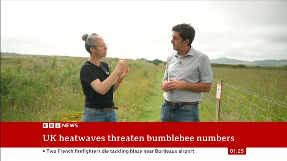 Broadcast still at 25m. BBC NEWS, BBC News, 22 July 2026.