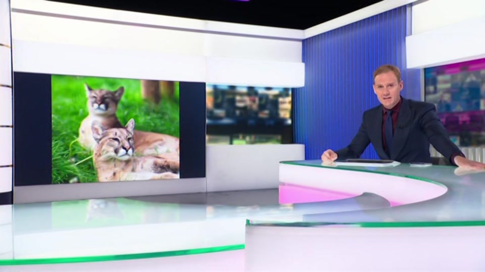 Still from Channel 5 at 22:00